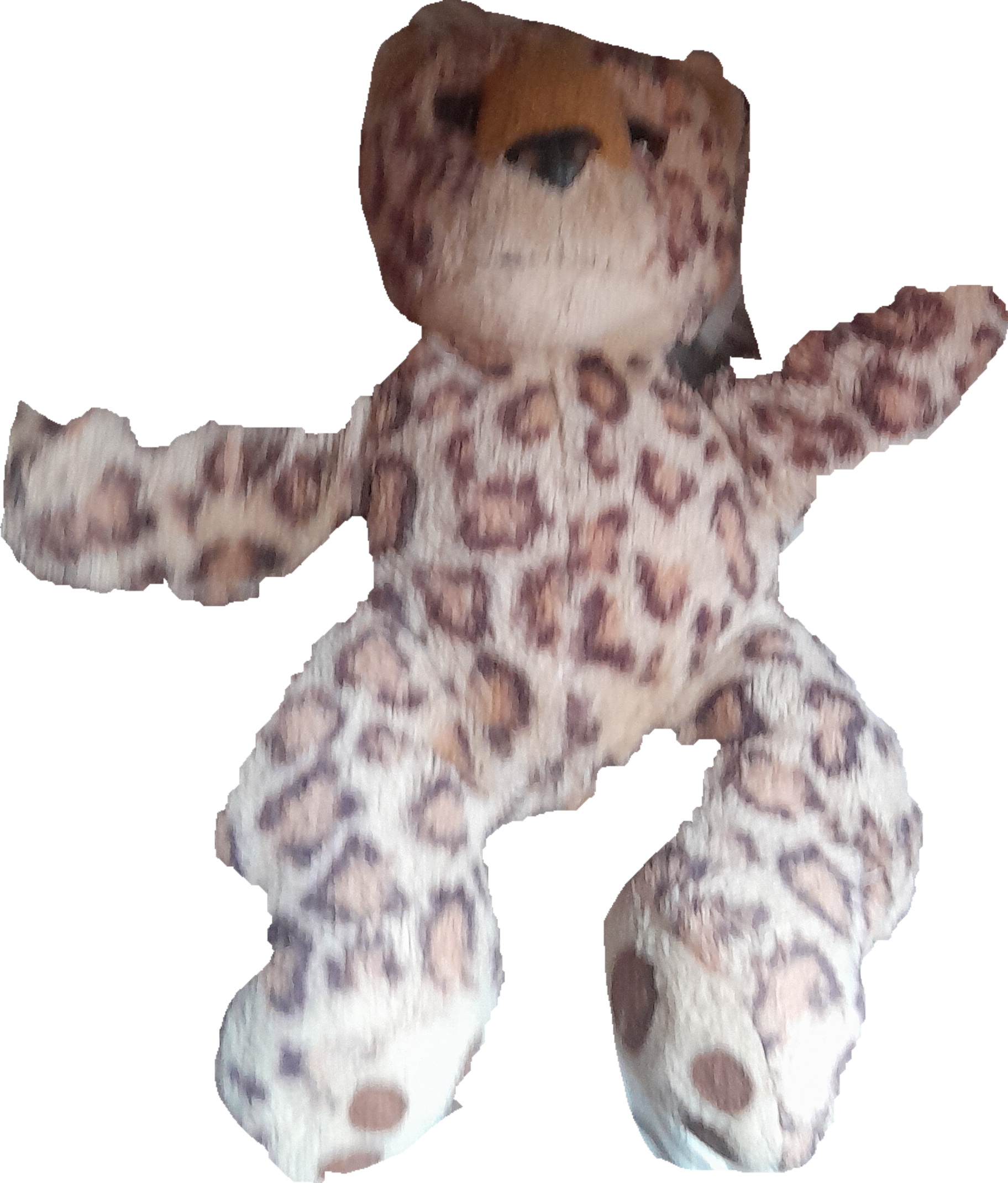 Leopardo